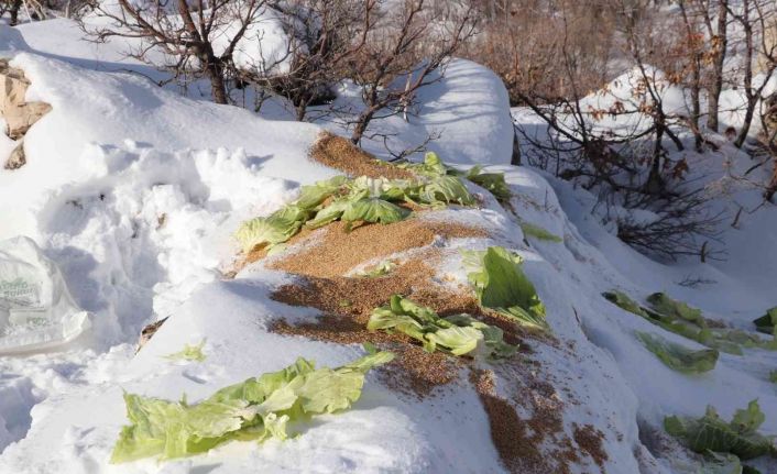 Siirt’te karda yiyecek bulamayan yaban hayvanları için doğaya 350 kilo yem bırakıldı