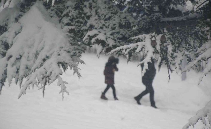 Tatvan’da kar yeniden etkisini gösterdi