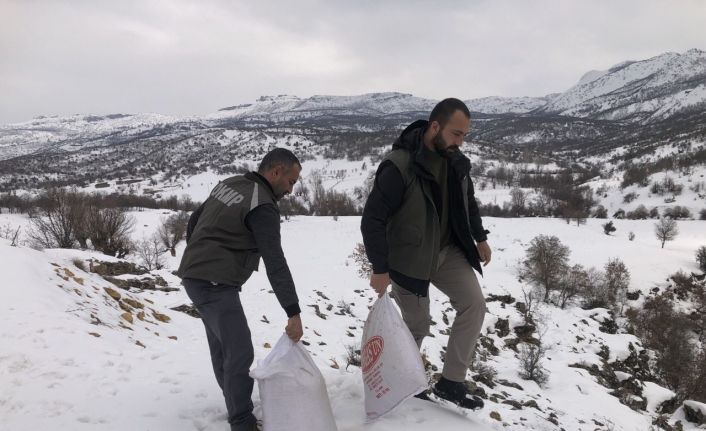 Tunceli’de yemleme ve denetim çalışmaları sürüyor