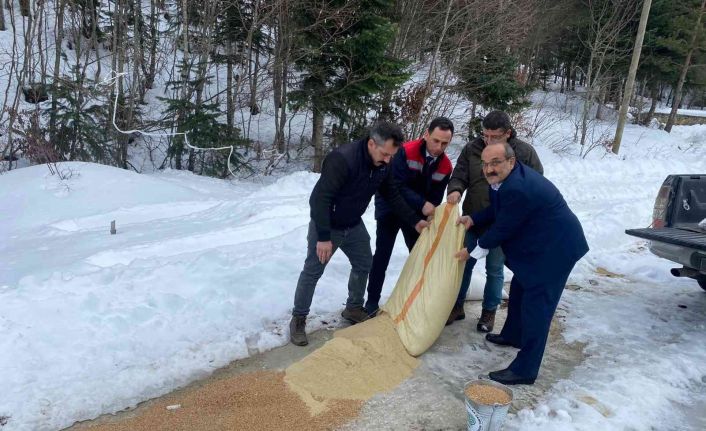 Yaban hayvanları için doğaya yem bırakıldı