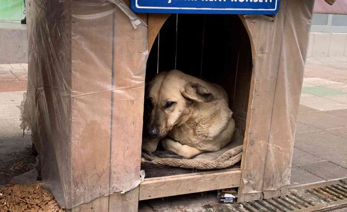 Yağmurdan en çok onlar etkileniyor