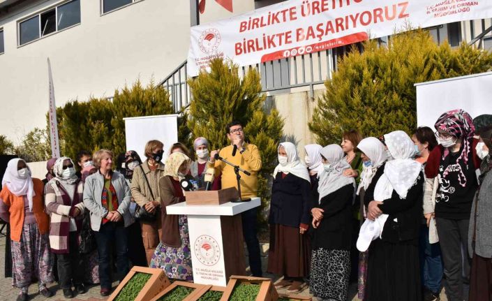 Yangın mağduru üreticilere yem desteği