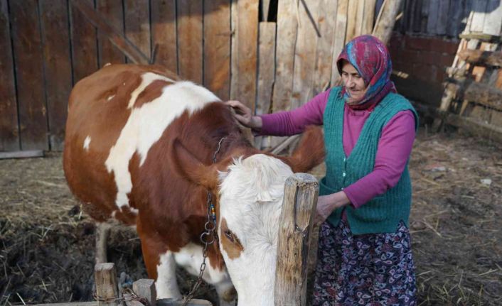 Yangınzede kadın: “Yangında başıma tülbent bile alamadım”