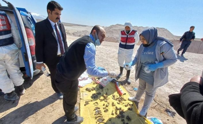 16 yıl önce kayıp ihbarı yapılan kadının parçalanmış cesedi su kuyusunda bulundu