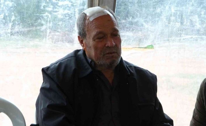 Antalya’da yaşlı kadın oğlunun fotoğrafı ve kuşları kurtarmak isterken yanarak öldü