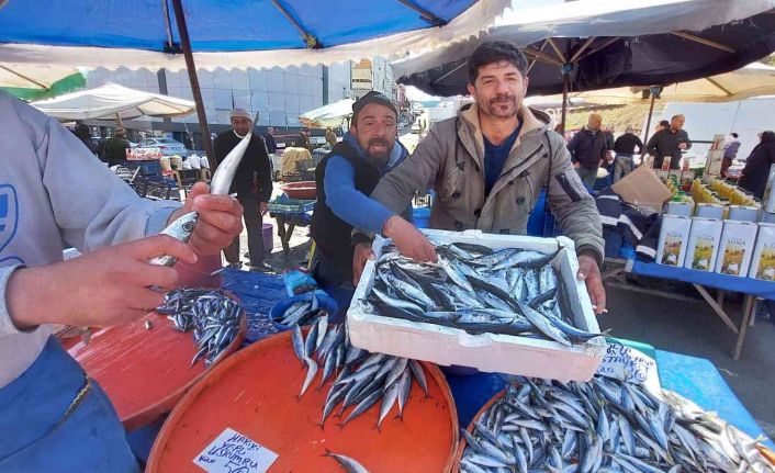 Balıkçıların müşteri kapma yarışı renkli görüntülere sahne oldu
