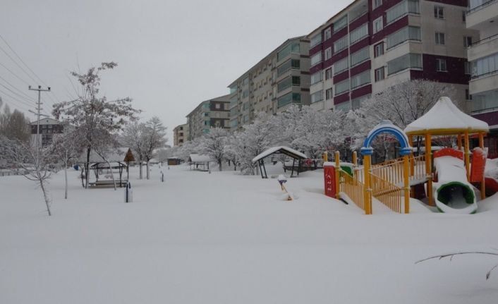 Bitlis’te 207 köy yolu ulaşıma kapandı