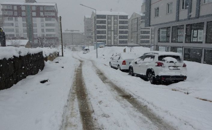 Bitlis’te 58 köy yolu ulaşıma kapandı