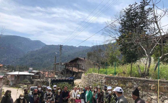 Büyükşehir Akseki’de defne fidanı dağıtıp defne sabunu yapımını anlattı