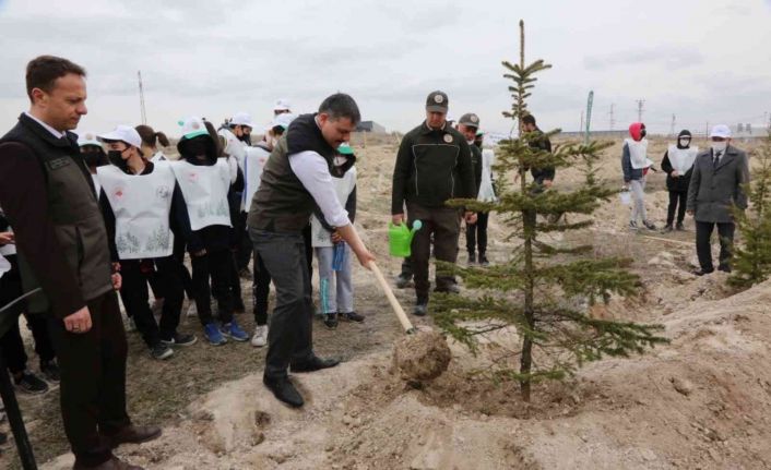 Çorum’da 70 milyon 500 bin fidan toprakla buluştu