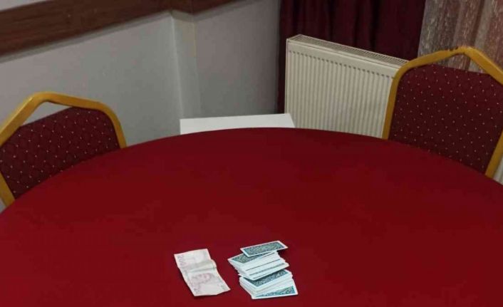 Denizli’de ev, iş yeri ve apart denetimlerinde 337 farklı adres kontrol edildi