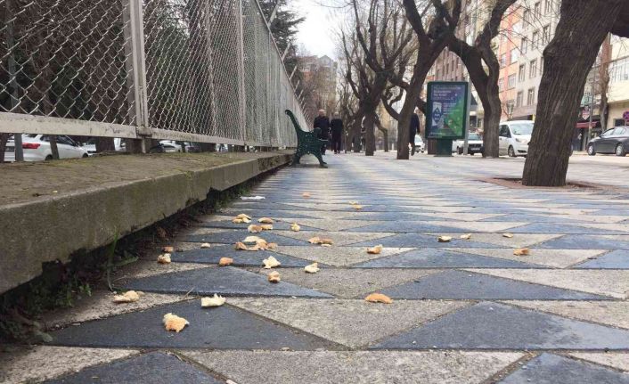 Duyarsızca atılan ekmek kırıntıları kaldırımlarda kötü görüntülere sebep oluyor