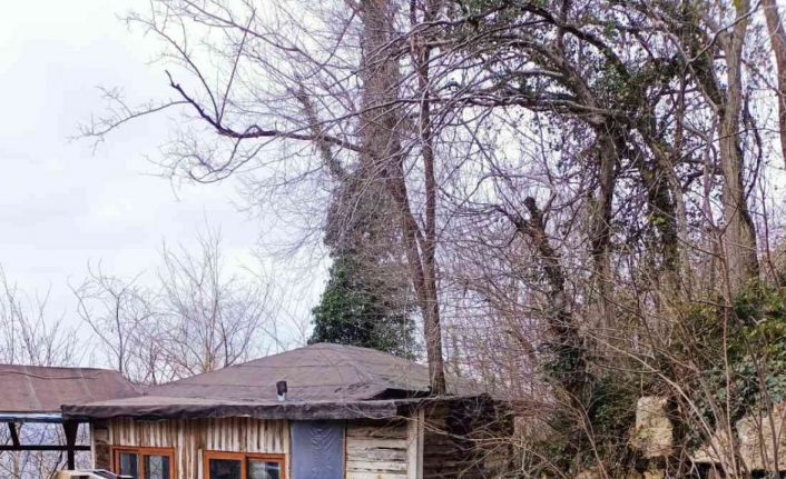 Fatsa’da patpat kazası: 1 ölü, 2 yaralı