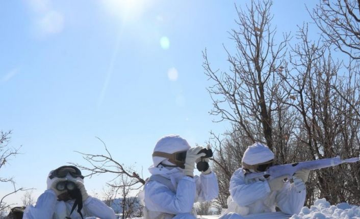 İçişleri Bakanlığınca Şırnak’ta “Eren Kış-28 Şehit Jandarma Er Adem Erbaş” Operasyonu başlatıldı