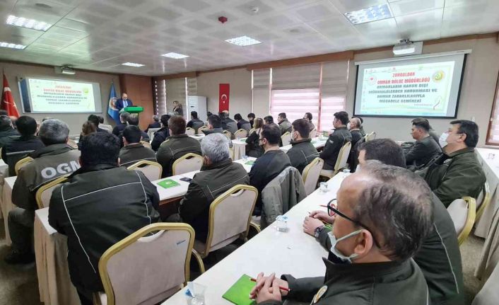 Kanun dışı müdahaleler ormanların tahribine yol açıyor