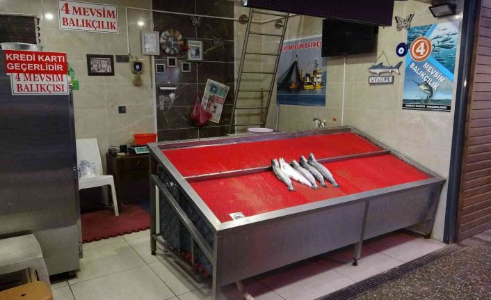 Karadeniz’de bir haftadır etkili olan kar yağışı tezgahlarda balık fiyatlarını uçurdu