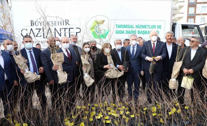 Oğuzeli’nde çiftçiye 15 bin nar ve 10 bin Antep fıstığı fidanı dağıtıldı