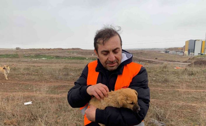 (ÖZEL) Her gün 50 kilometre yol giderek 400 köpeği besliyorlar