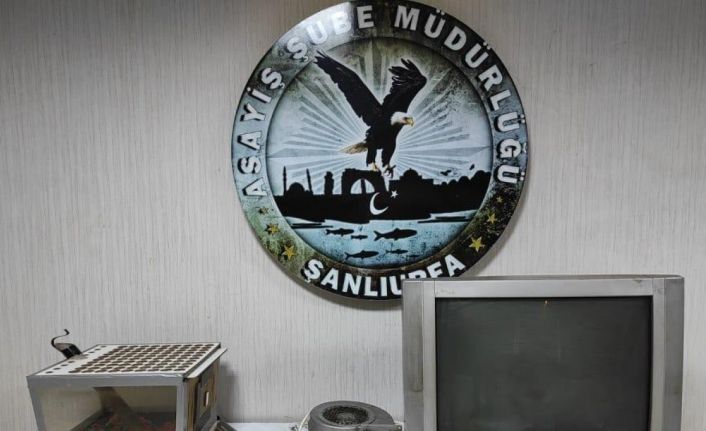 Şanlıurfa’da kumar oynayan 36 kişiye 65 bin 484 lira para cezası