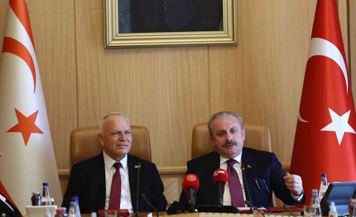 TBMM Başkanı Şentop, KKTC Meclis Başkanı Töre ile bir araya geldi
