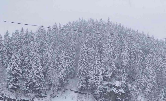 Trabzon-Bayburt karayolu kar nedeniyle ulaşıma kapandı