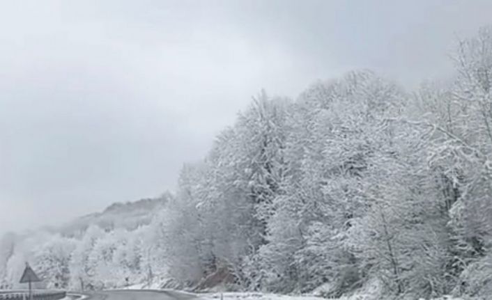 Zonguldak’ın yüksek kesimlerinde kar etkili oldu