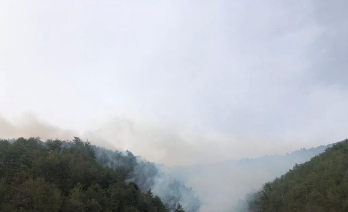 Akli dengesi bozuk şahıs ormanı yaktı, 1,9 hektar alan zarar gördü