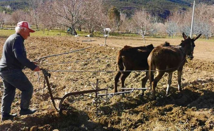 Atadan kalma ilk genelliğini sürdürüyor