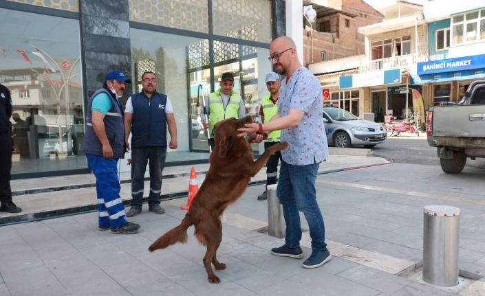 Aydın Büyükşehir Belediyesi, Koçarlı Belediyesi ile sokak hayvanları için ortak çalışma yapıyor