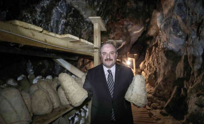 Bakan Varank: "Divle peynirinin daha fazla üretilmesi ve daha iyi tanıtılması için desteklerimizi vermeye devam edeceğiz"