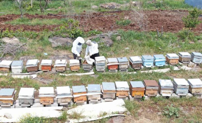 Bir anne şefkatiyle arılara bakıyor, hem sevgisini hem de emeğini veriyor