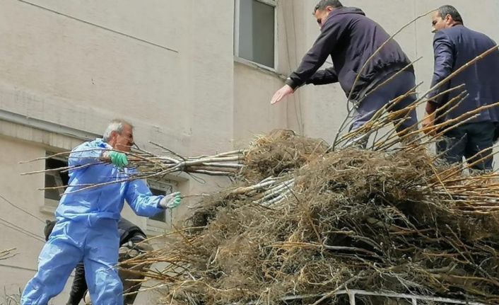 Bitlis’te 1 milyon meyve fidanı projesinin 2. etabı devam ediyor