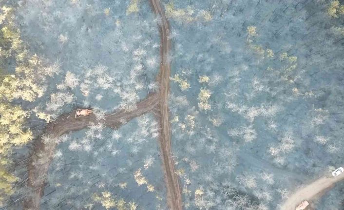 Bursa’daki orman yangını 18 saatlik müdahalenin ardından kontrol altına alındı