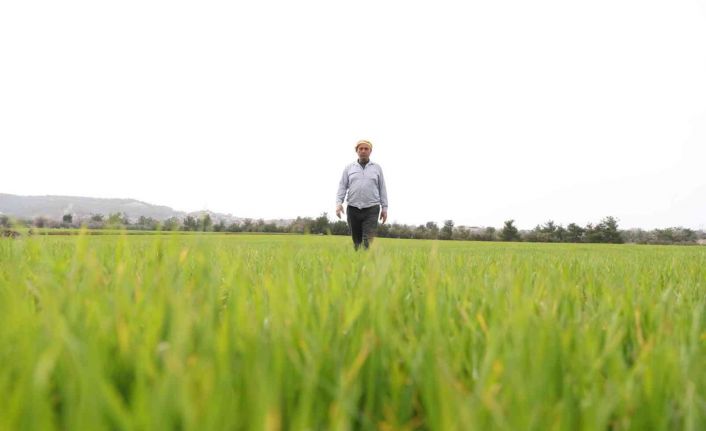 Çiftçinin yüzü gübre desteğiyle güldü