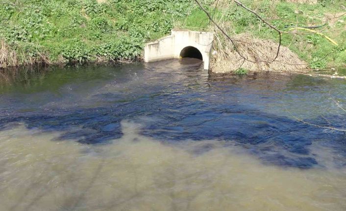 CİMER’i de kandırdılar...Ölüm saçan dereyi "tertemiz akıyor" diye raporladılar