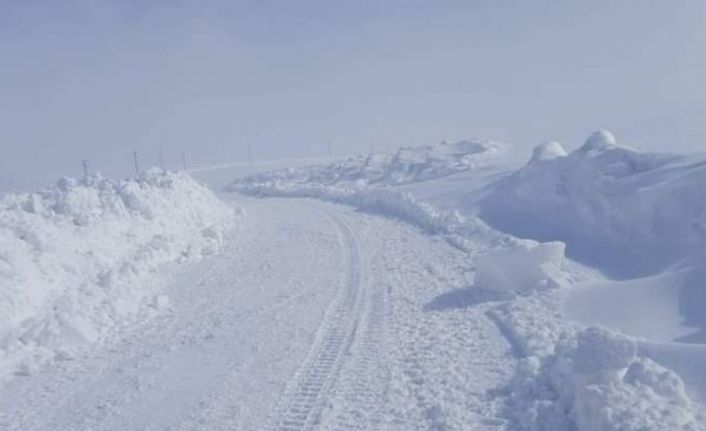 Diyadin’de karla mücadele çalışması devam ediyor