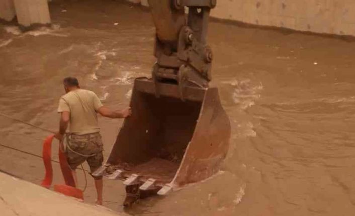 Diyarbakır’da su kanalına düşen ineği jandarma personeli kurtardı
