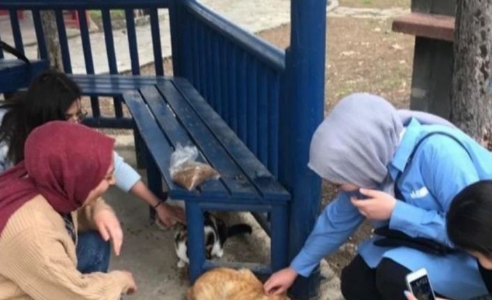 Gediz Sağlık Hizmetleri MYO’da "Bir Kap Su, Bir Kap Mama" etkinliği