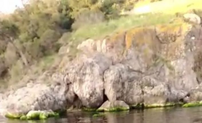 Heybeliada’da derin deniz deşarj hattı patladı, lağım suyu deniz yüzeyine çıktı