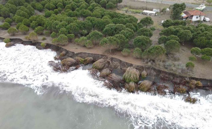 Hırçın dalgalar 150 metre kumsalı yuttu, evler tehdit altında