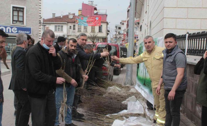 İnebolu’da vatandaşlara ücretsiz meyve fidanı dağıtıldı
