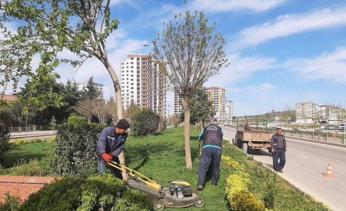 Kilis’teki park ve refüjlerde yaz hazırlığı