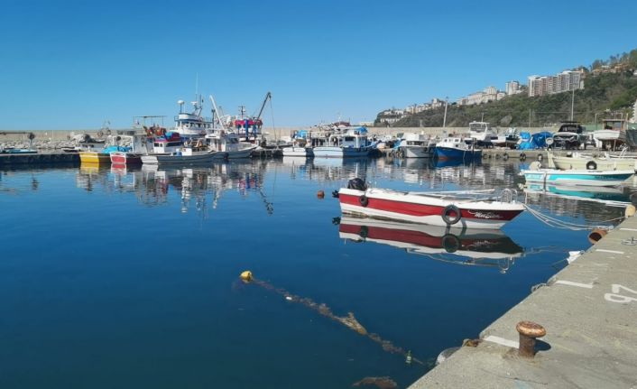 Kozlu Su Ürünleri Kooperatifi Başkanı Kayhan: “Mayın yüzünden geceleri avlanmayı kendi aramızda yasakladık”