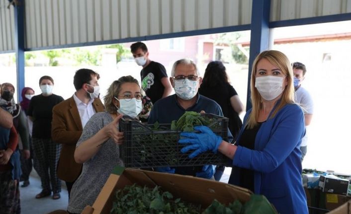 Merkezefendi’de son 2 yılda 660 ton sağlıklı ve doğal sebze üretildi