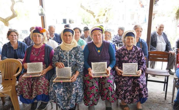 Milas’ta kırsalda yaşayan vatandaşlara ipek böceği larvası ve halı ipi dağıtıldı
