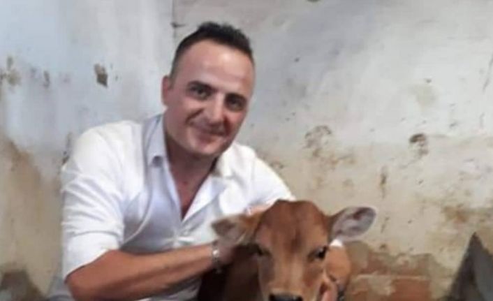 Müdür Tokdemir: “2021 yılında doğan buzağılar için 2. dönem başvurular başladı”