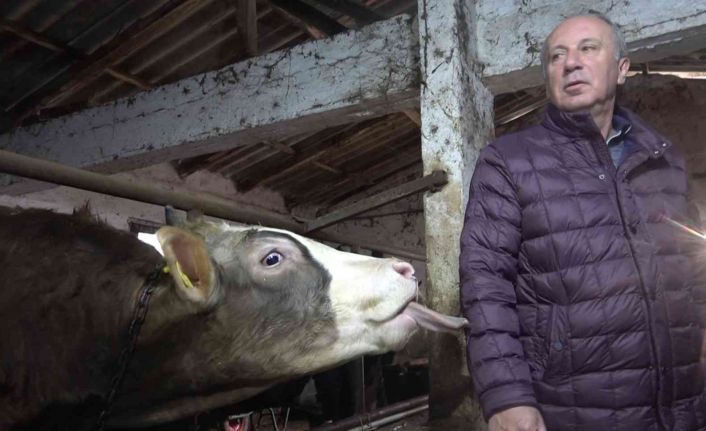 Muharrem İnce’den ahırda basın toplantısı