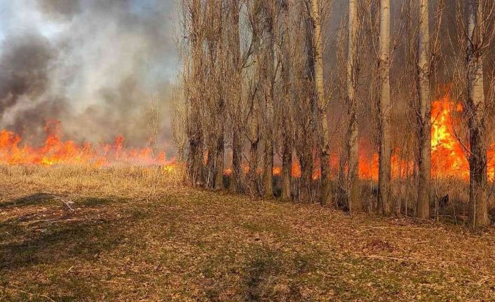 Onlarca kuş türüne ev sahipliği yapan sazlık alanda korkutan yangın