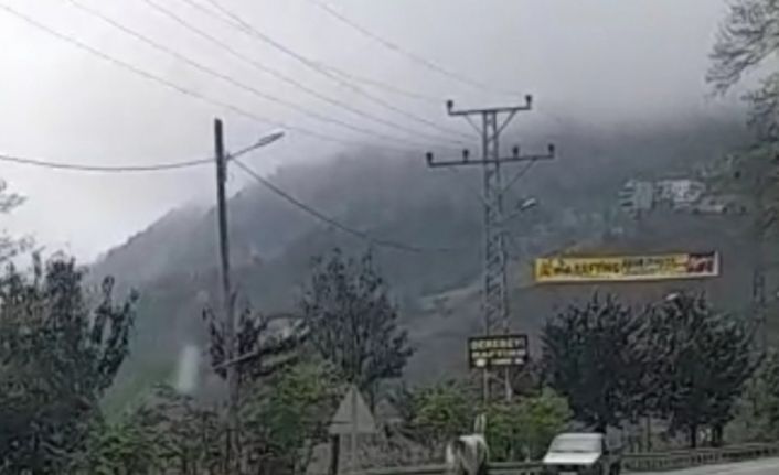 Rize’de sahibinden kaçan at karayolunda 4 nala koştu, yolda seyreden araçlar için tehlike oluşturdu