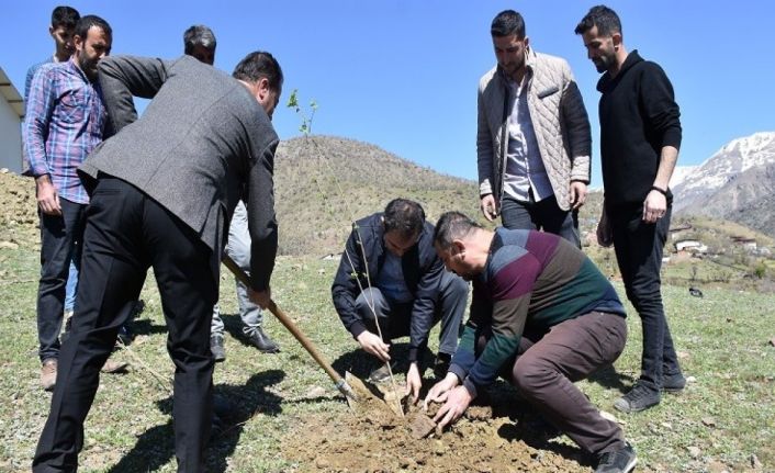 Sason’da ipek böcekçiliği geliştirme projesi dahilinde dut fidanı dikildi